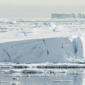 Antarctique Navire VirgilDecourteille Institutpolairefrançais 2019 (18)